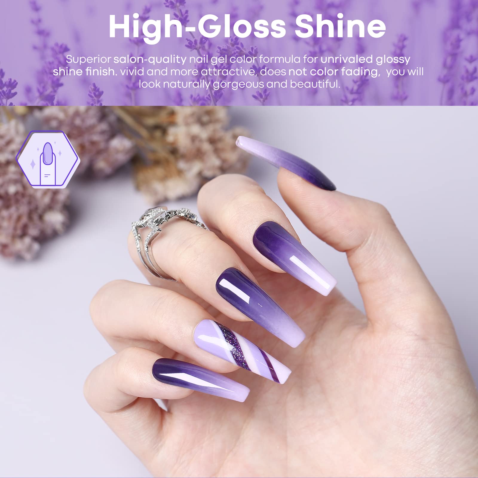 Lilac Obsessions
